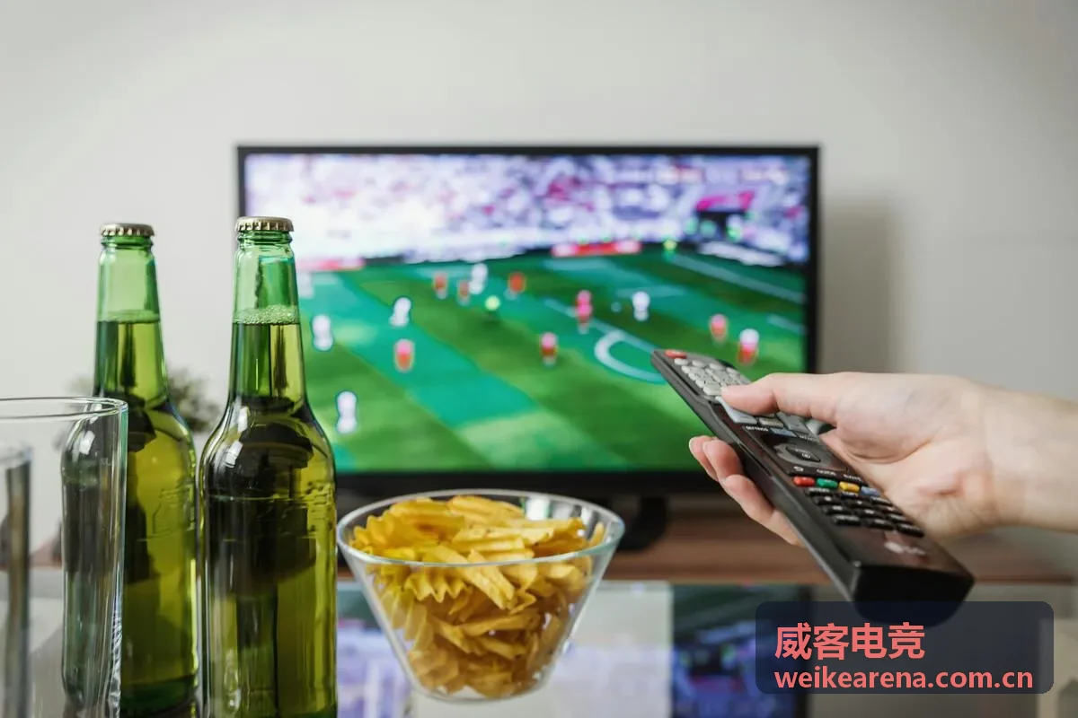 威客电竞数据平台深度观察配图